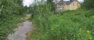 Kritik och nya förslag i Malmbergsfrågan
