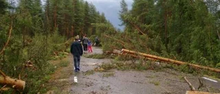 Tromb efterlämnade kaos av nedfallna träd i Yrtivaara