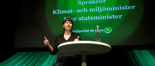 Det gröna problemet