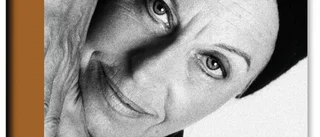 Alltför rapsodisk biografi