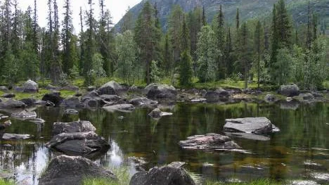 Mattaureälven-Båldakatj är ett av områdena som får ett långsiktigt skydd. Området ligger i Arjeplog och är en utvidgning av det befintliga naturreservatet Ståkke-Bårgå fjällurskog.Foto: Länsstyrelsen Norrbotten