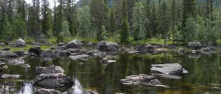 Reserverat för naturen