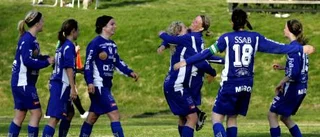 Allsvenska spelare ska förstärka Alvik