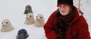 Sälhuvuden i snön - inget konstigt med det