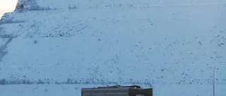 När gruvbolaget nyser darrar hela samhället