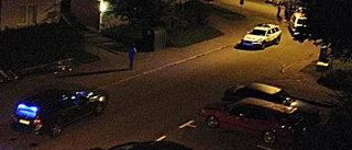 Flera identifierade efter storbråk i Berga