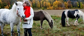 Få vill prata om gruvan i Norra Kärr