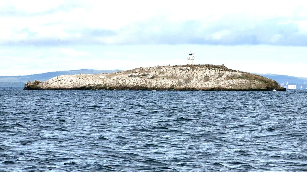 Ön Jungfrun i Vättern
