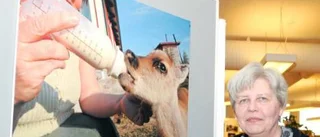 Fotoutställning drog fullt hus