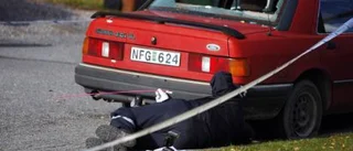 Salmonellabomber tickar i köttdisken?