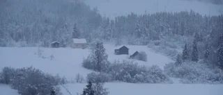 Livet på landet är vad vi vill ha