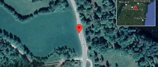 Fallna träd skapar problem i trafiken
