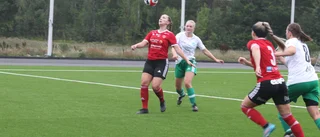 Drömstarten som tog Tjust IF till final
