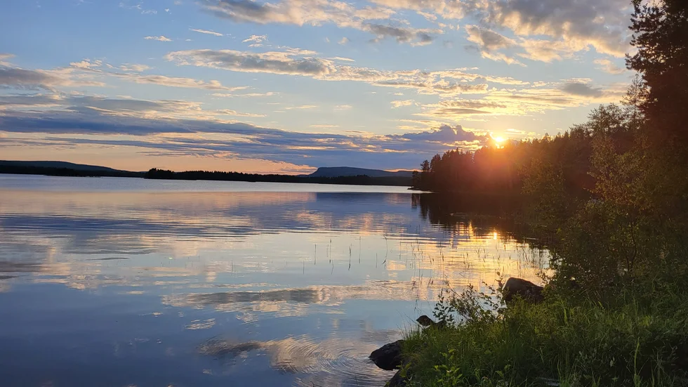 Dagens läsarbild
