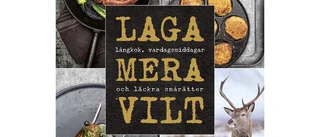Laga mera vilt : Långkok, vardagsmat och läckra smårätter 