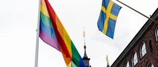 Klart att SD hatar bögar      