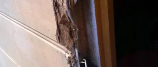 Tjuvar bröt sig in i fritidshuset