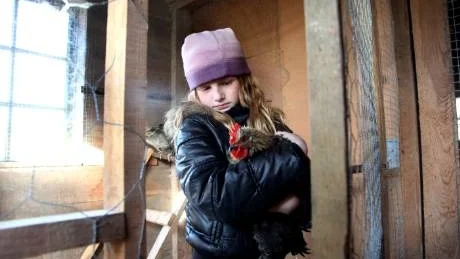 Lider. Julia Boyetin och hennes familj har ett 40-tal höns och tuppar hemma på gården. Nu måste de hållas inomhus på grund av duvpesten. Familjen berättar att hönsen mår mycket dåligt över att behöva stanna inne. Foto: Henrik Radhe