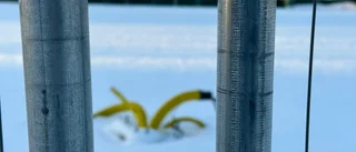 Köldsmockan: Konstgräsplanen försenad 