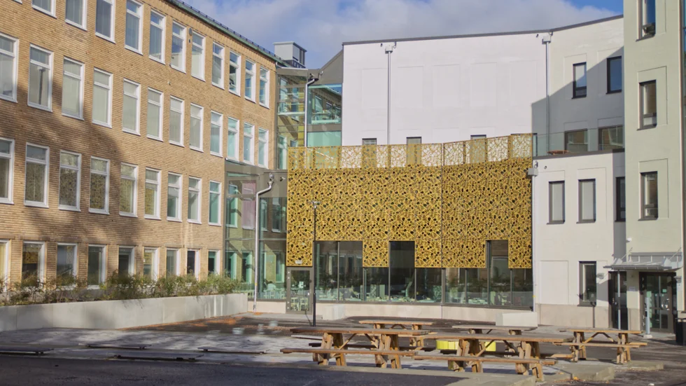 Järvenskolan är i hetluften igen.