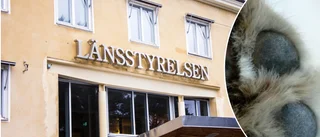 Hunden rastades inte ute på en månad