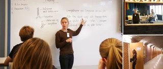 Lämnade jobbet i storstan för gotländska landsbygden