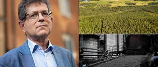 H2 Green Steel project under fire: economists call for scrapping