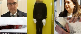 Livstids fängelse eller sluten rättspsykiatrisk vård?