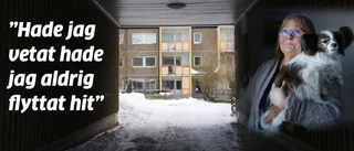 Larmet från Gråbo: ”Ett bostadsområde i förfall”