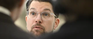 Ryssland tjänar på Åkessons utspel