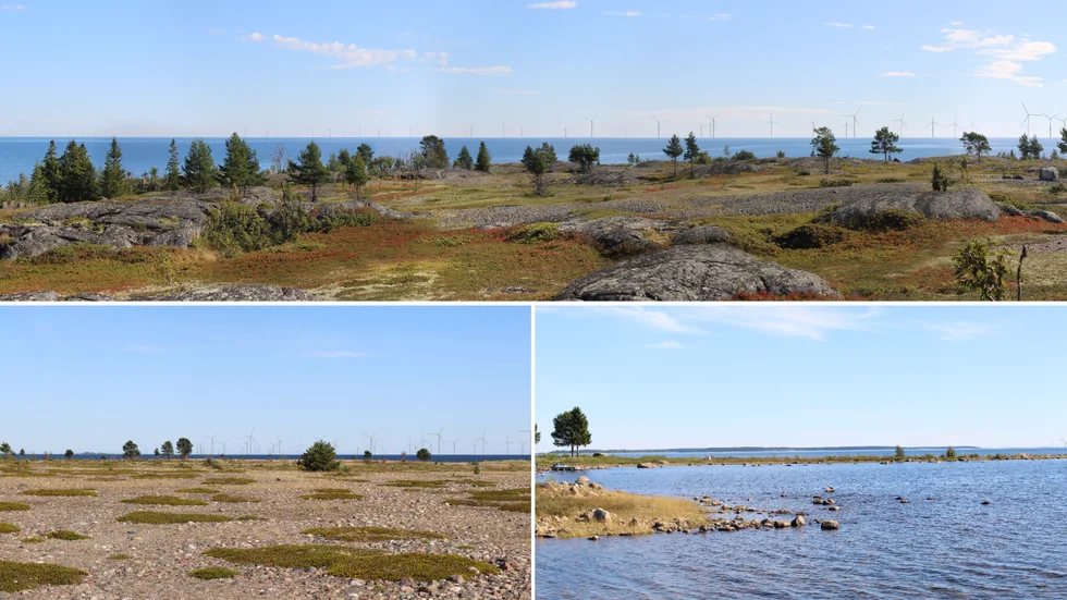 Visualiseringsbilder Bores Krona 128 verk, 350 meter. Överst: Stor-Räbben, 6,2 km från parken, (bilden har beskurits). Nedre till vänster, Stenskäret, 6,6 km från parken (bilden har beskurits och zoomats in). Till höger Hällskatan, 12,6 km från parken (bilden har beskurits och zoomats in). Samtliga visualiseringar för Bores Krona finns på Svea Vind Offshores webbplats.