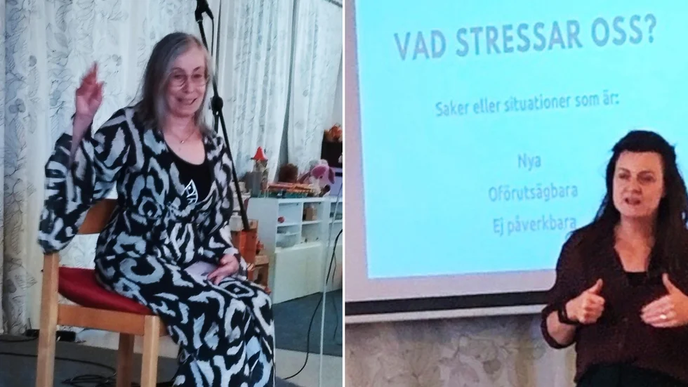 Vivi-Anne Sundberg och Charlotte Lindmark föreläste på neurodagen..