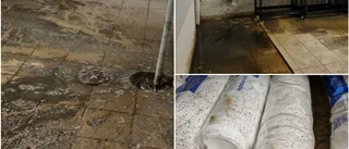 Restaurang hade bajs och toapapper på källargolvet