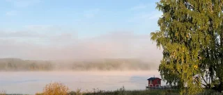 Läsarbilden: Morgondimma       