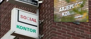 Socialchef ovetande om konsultens dubbla stolar