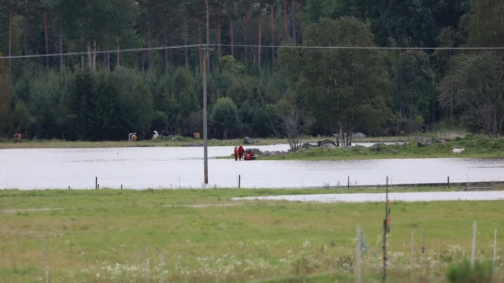 Ett 30-tal djur behövde räddas efter att en hage svämmats över. 