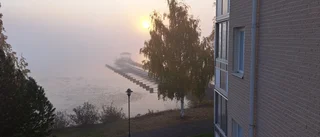 Läsarbilden: Morgondimma           
