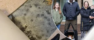 Skola utryms – omfattande kemiska skador