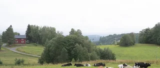 Läget kritiskt för den biologiska mångfalden