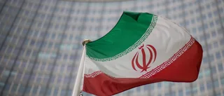 Svensk man dömd till fängelse i Iran