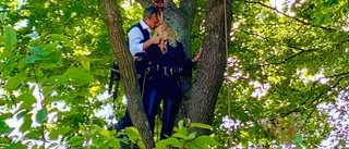 Eva och Mattias gifte sig – hängandes sex meter upp i ett träd