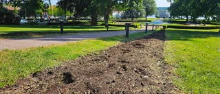 Därför är rabatterna än så länge tomma i Stadsparken