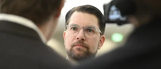 Fördömandet SD:s trollfabriker räcker inte