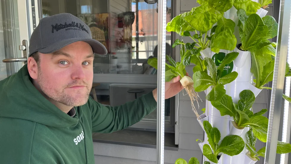 Nicklas Larsson odlar grönsaker på balkongen i centrala stan med endast vatten och näring. "Man plockar in det man ska äta och plantan fortsätter sedan att växa", säger han. 