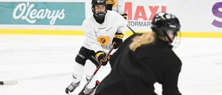 Hemmamatcher väntar för AIK – som kan säkra nytt kontrakt