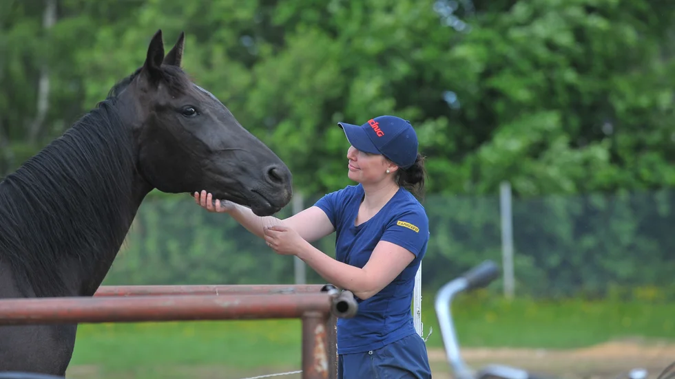 Janita Luttunen, ny travtränare på Bodentravet, har tolv hästar i träning.