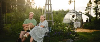 Paret i Övre Bäck satsar på snittblommor: "Vi testar oss fram”