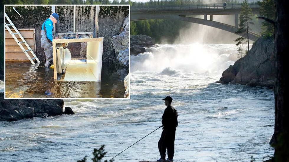 Fiskkameran vid Jokkfall 