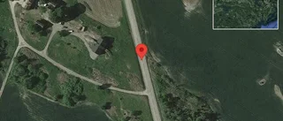 Träd över vägen skapar problem i trafiken på väg 55