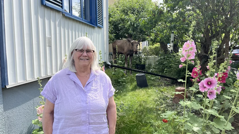 Husägaren Berit fick oväntat besök i trädgården under onsdagen.